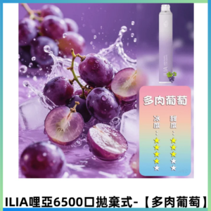 ILIA BAR 4哩啞一次性大容量6500口拋棄式電子煙【多肉葡萄】