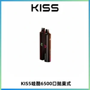 KIS5WAGOO哇酷6500口拋棄式 | 自由混搭雙口味 | 雙芯組合